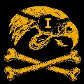 Hawkeye Pirate